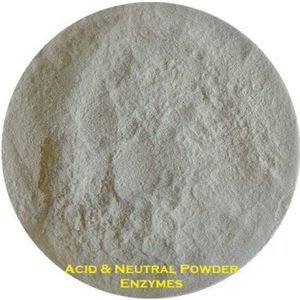 Textile Enzymes